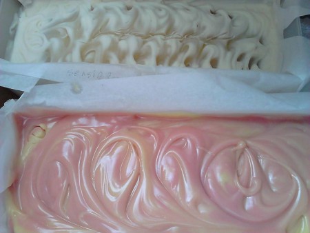 Ja són al motlle sabó de vi i per a  pells sensibles